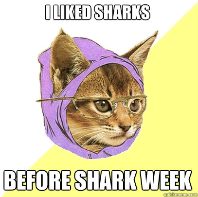 I liked Sharks BEFORE SHARK WEEK  Hipster Kitty