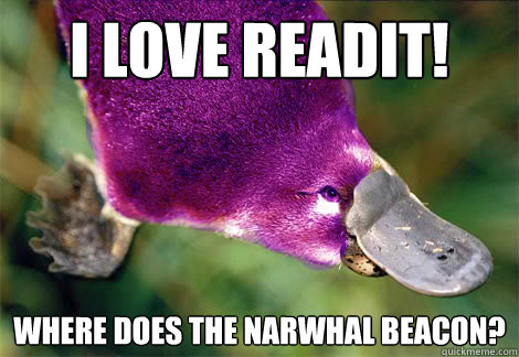 I love readit! where does the narwhal beacon? - I love readit! where does the narwhal beacon?  Poser Platypus