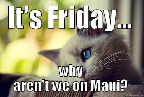 IT'S FRIDAY... WHY AREN'T WE ON MAUI? First World Problems Cat