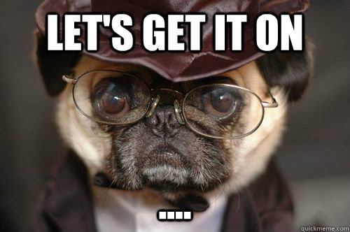 Let's get it on .... - Let's get it on ....  SMUG PUG