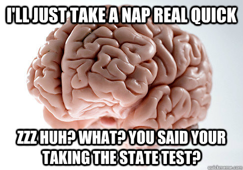 i'll just take a nap real quick zzz huh? what? you said your taking the state test?  Scumbag Brain