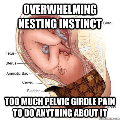 overwhelming nesting instinct too much pelvic girdle pain to do anything about it  