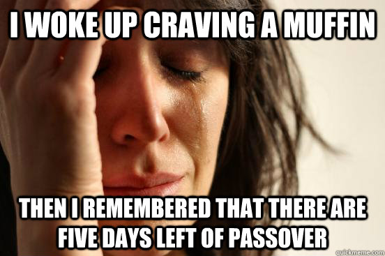 i woke up craving a muffin then i remembered that there are five days left of passover  First World Problems