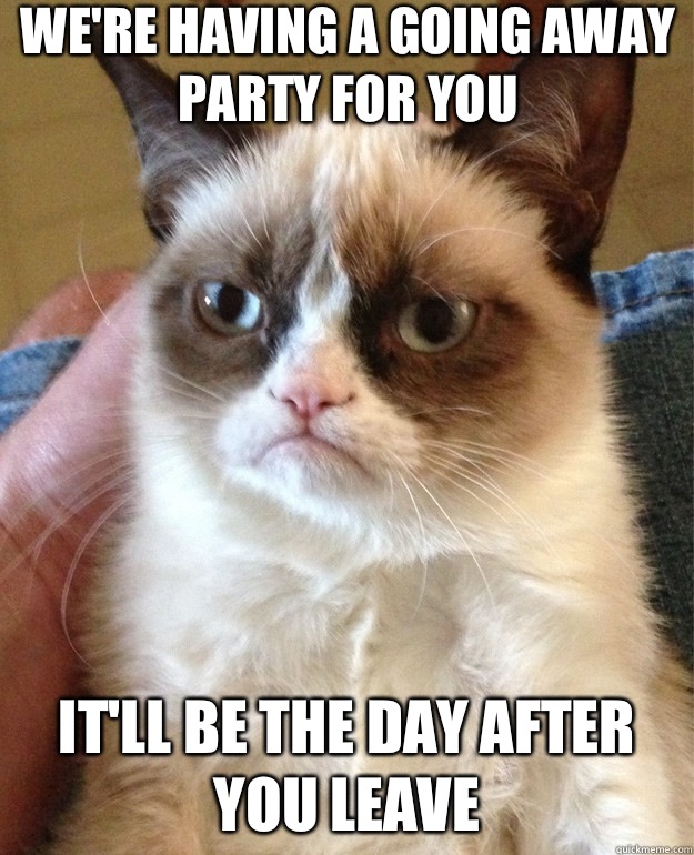 We're having a going away party for you It'll be the day after you leave - We're having a going away party for you It'll be the day after you leave  Misc