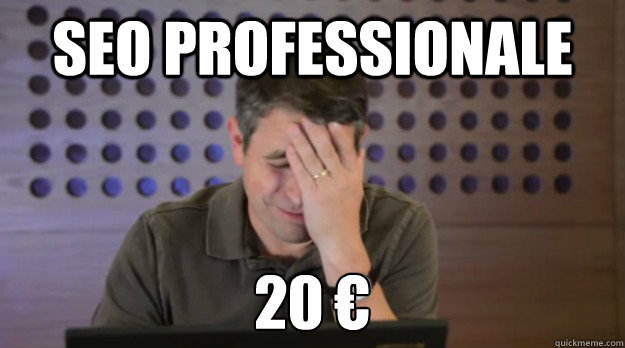 SEO professionale 20 €  Facepalm Matt Cutts