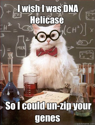  I wish I was DNA Helicase  So I could un-zip your genes  