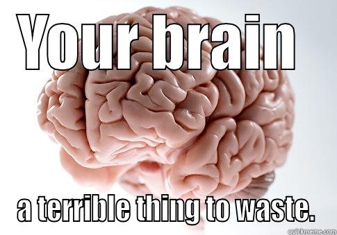 Use it! - YOUR BRAIN  A TERRIBLE THING TO WASTE. Scumbag Brain