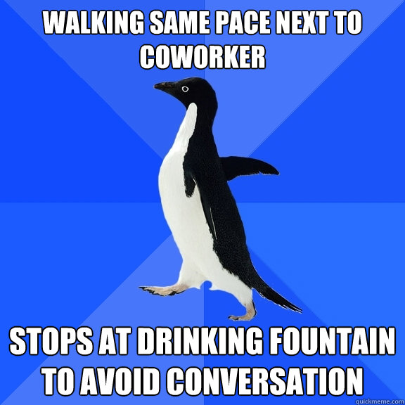 Walking same pace next to coworker  stops at drinking fountain  to avoid conversation  Socially Awkward Penguin
