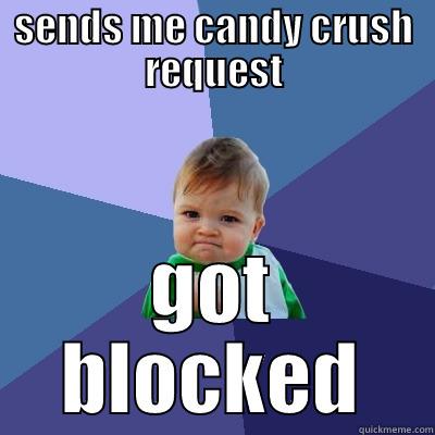 candy saga - SENDS ME CANDY CRUSH REQUEST GOT BLOCKED Success Kid