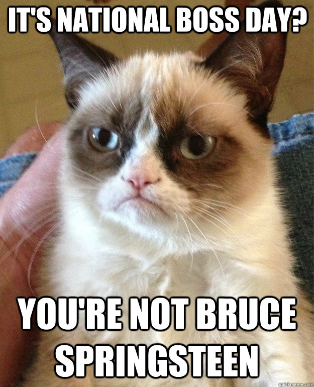 It's National Boss Day? You're not Bruce Springsteen - It's National Boss Day? You're not Bruce Springsteen  Grumpy Cat