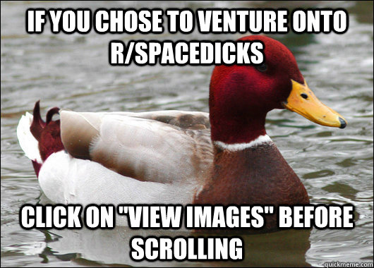 if you chose to venture onto r/spacedicks click on 