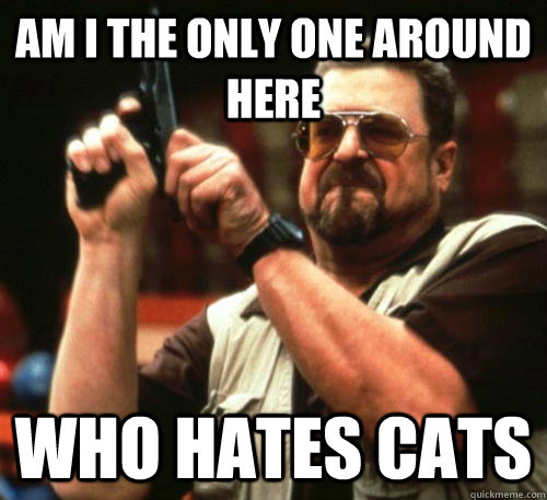 Am i the only one around here who hates cats  Am I The Only One Around Here