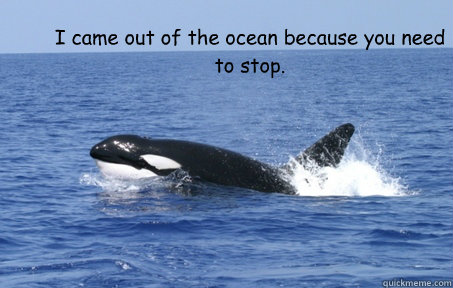 I came out of the ocean because you need to stop.   