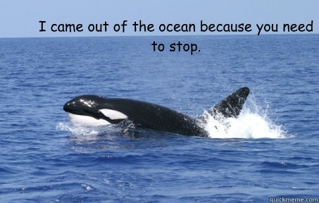 I came out of the ocean because you need to stop.  - I came out of the ocean because you need to stop.   Misc