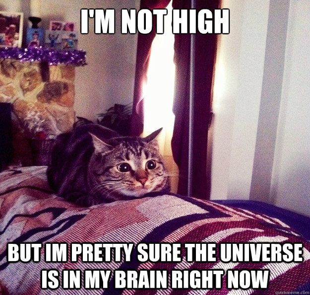 I'm not high but im pretty sure the universe is in my brain right now  Trippy Cat