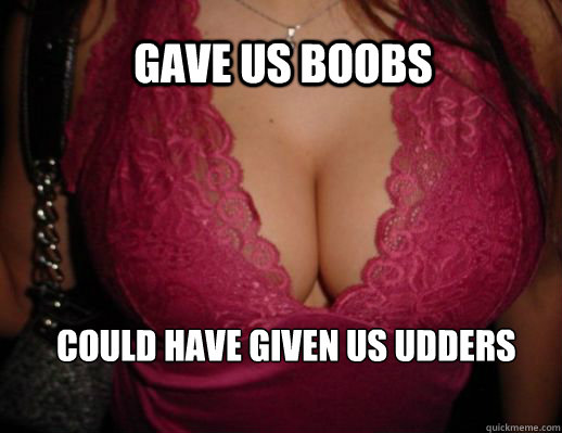 Gave us boobs could have given us udders - Gave us boobs could have given us udders  Good Guy Evolution