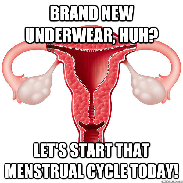 Brand new underwear, huh? Let's start that menstrual cycle today! - Brand new underwear, huh? Let's start that menstrual cycle today!  Scumbag Uterus