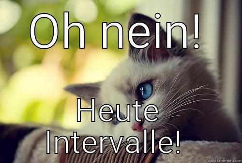 OH NEIN! HEUTE INTERVALLE!  First World Problems Cat