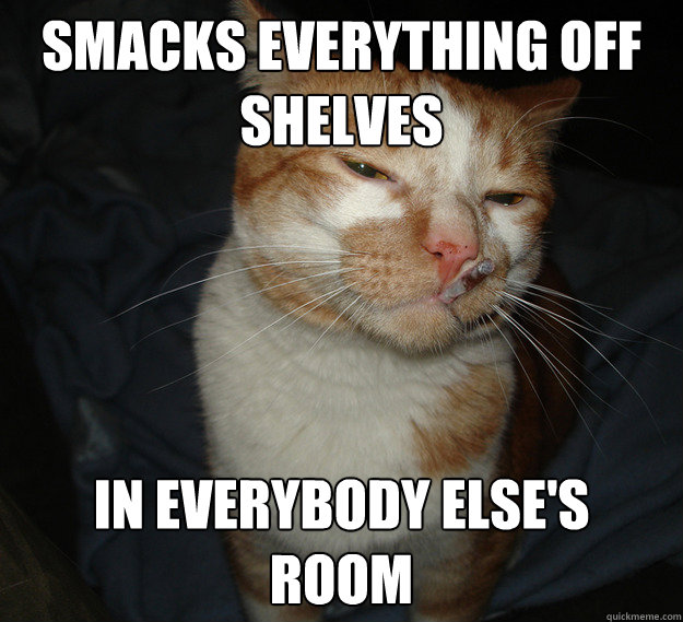 smacks everything off shelves in everybody else's
room  Cool Cat Craig