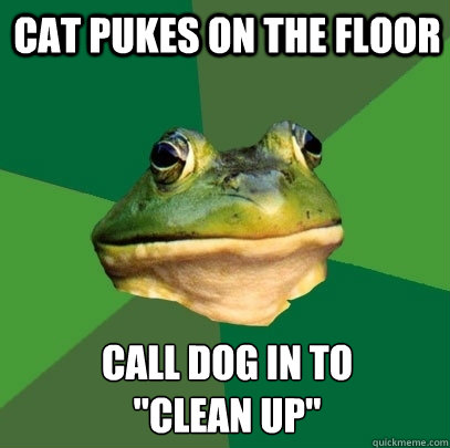Cat pukes on the floor CAll dog in to 
