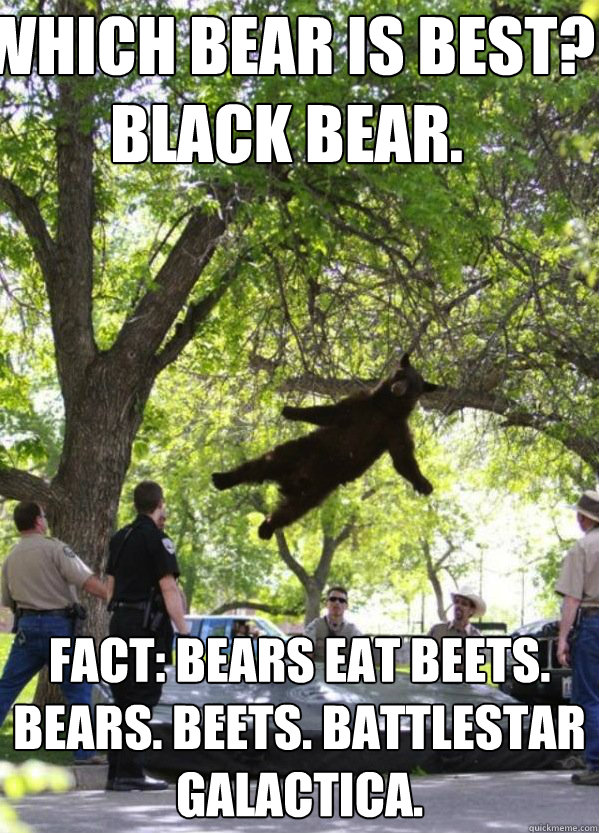 Which BEAR is BEST?
Black Bear. FACT: Bears eat beets.
BEARS. BEETS. BATTLESTAR GALACTICA. - Which BEAR is BEST?
Black Bear. FACT: Bears eat beets.
BEARS. BEETS. BATTLESTAR GALACTICA.  i am a falling bear