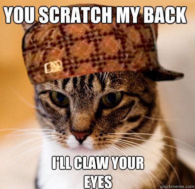 You scratch my back I'll claw your eyes - You scratch my back I'll claw your eyes  Scumbag Cat