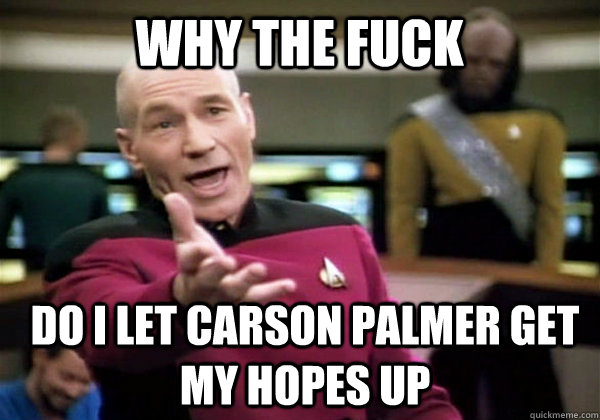Why the fuck Do I let carson palmer get my hopes up  Patrick Stewart WTF