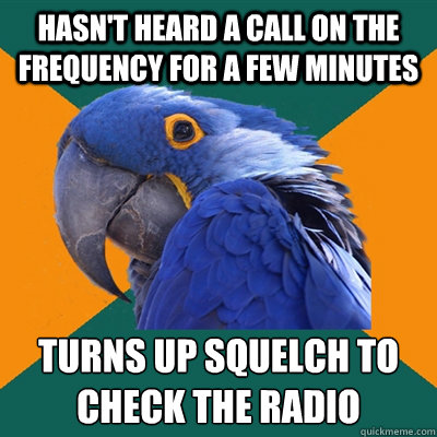 Hasn't heard a call on the frequency for a few minutes turns up squelch to check the radio   Paranoid Parrot