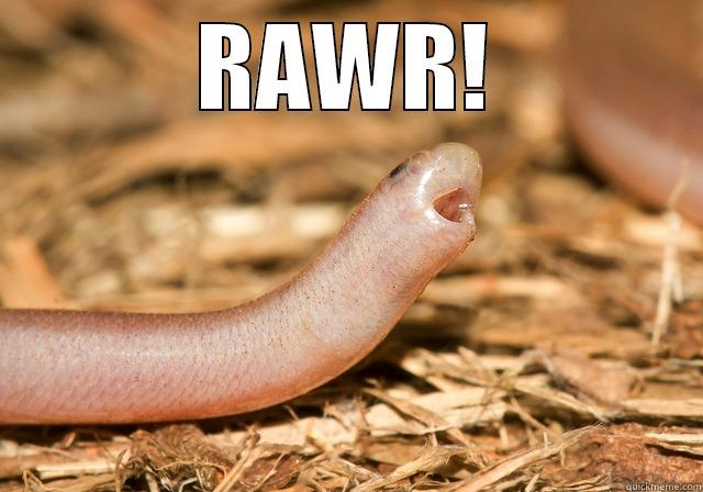 RAWR!  Misc
