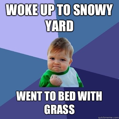 Woke up to snowy yard Went to bed with grass  Success Kid