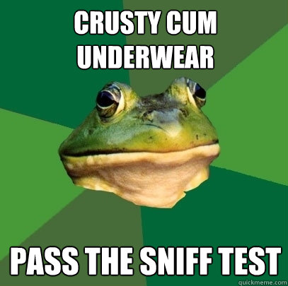 Crusty Cum underwear Pass the sniff test   Foul Bachelor Frog