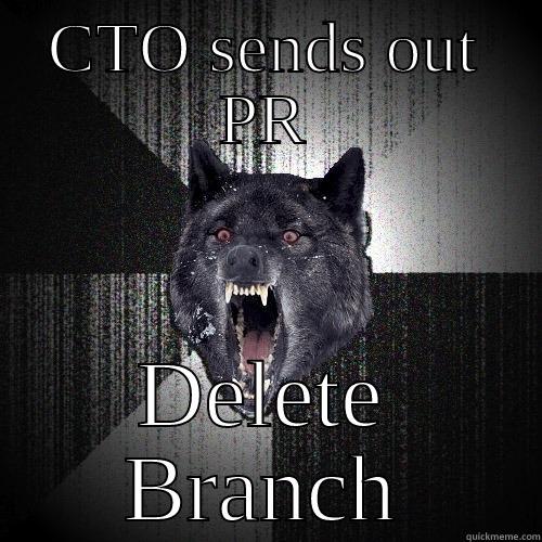 CTO SENDS OUT PR DELETE BRANCH Insanity Wolf