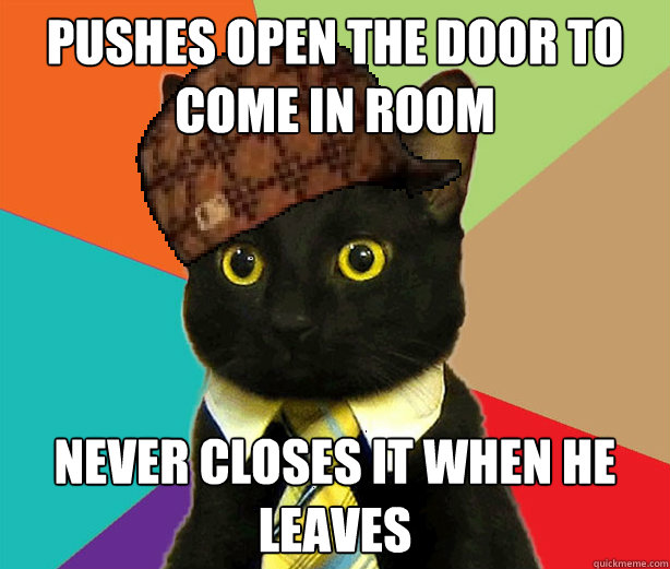 Pushes open the door to come in room Never closes it when he leaves  Scumbag Cat