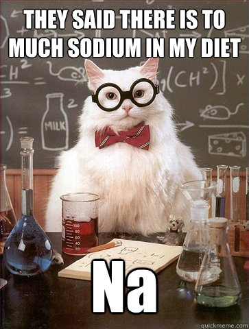 THEY SAID THERE IS TO MUCH SODIUM IN MY DIET Na  Science Cat