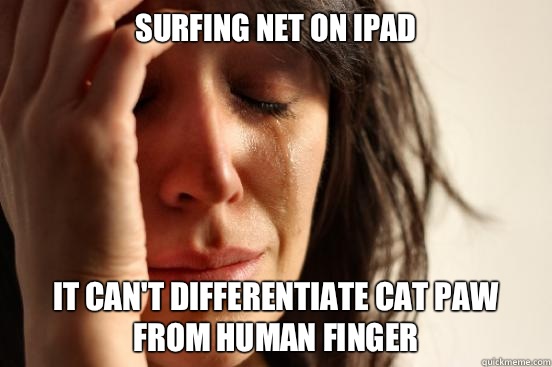Surfing net on iPad It can't differentiate cat paw from human finger  First World Problems