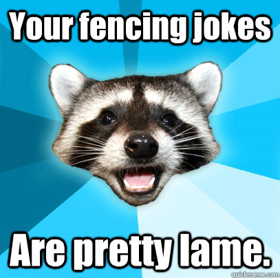 Your fencing jokes Are pretty lame. - Your fencing jokes Are pretty lame.  Lame Pun Coon