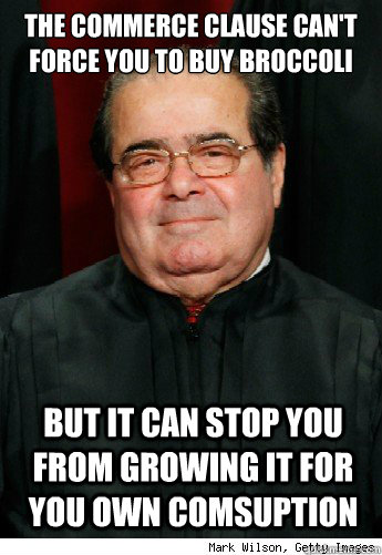 The Commerce clause can't force you to buy broccoli  but it can stop you from growing it for you own comsuption  Scumbag Scalia