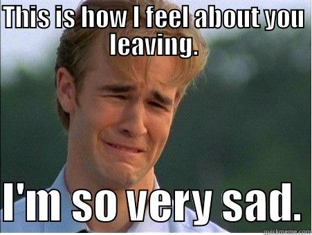 THIS IS HOW I FEEL ABOUT YOU LEAVING.  I'M SO VERY SAD. 1990s Problems