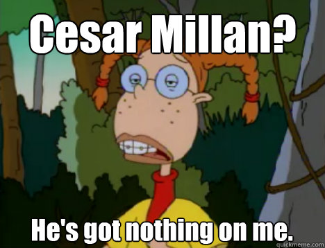Cesar Millan? He's got nothing on me.  