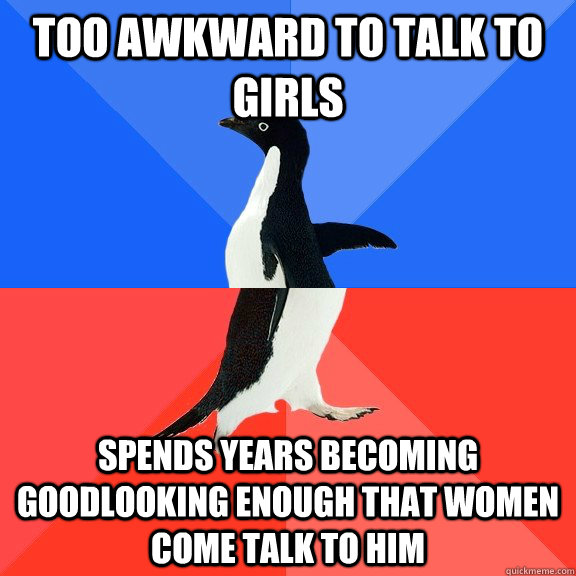 too awkward to talk to girls spends years becoming goodlooking enough that women come talk to him  Socially Awkward Awesome Penguin