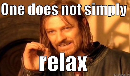 ONE DOES NOT SIMPLY  RELAX Boromir