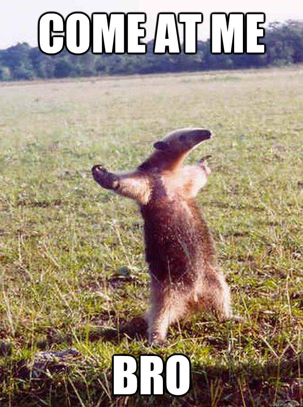 COME AT ME BRO - COME AT ME BRO  anteater bro