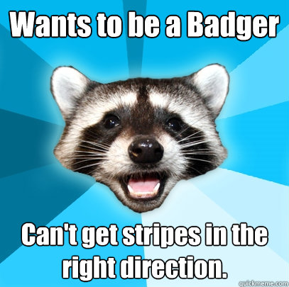 Wants to be a Badger Can't get stripes in the right direction.  Lame Pun Coon