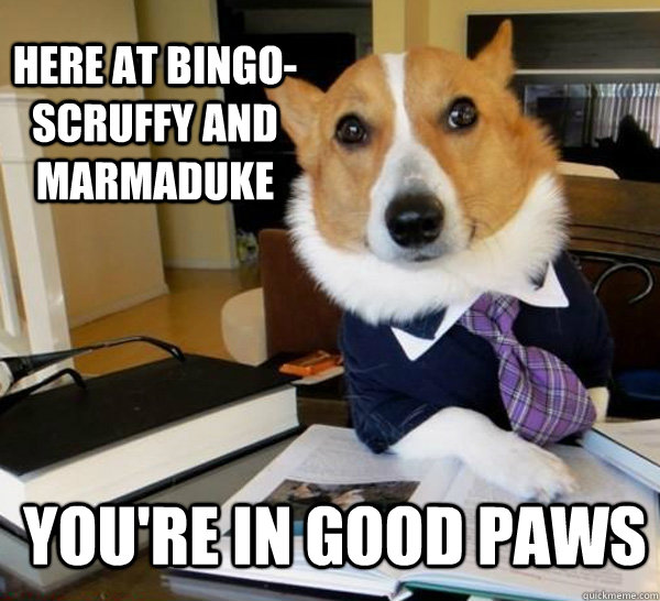 Here at Bingo-Scruffy and Marmaduke You're in good paws - Here at Bingo-Scruffy and Marmaduke You're in good paws  Lawyer Dog