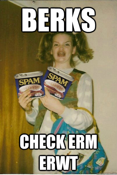 BERKS CHECK ERM ERWT  