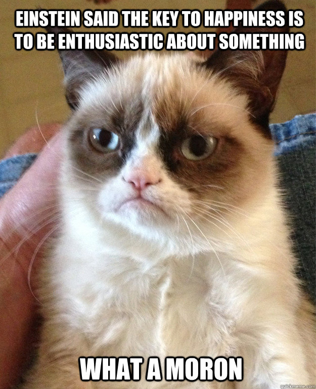 Einstein said the key to happiness is to be enthusiastic about something what a moron - Einstein said the key to happiness is to be enthusiastic about something what a moron  Grumpy Cat
