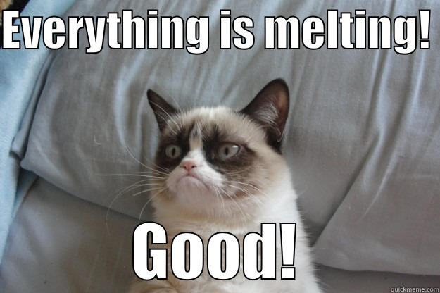 EVERYTHING IS MELTING!  GOOD! Grumpy Cat
