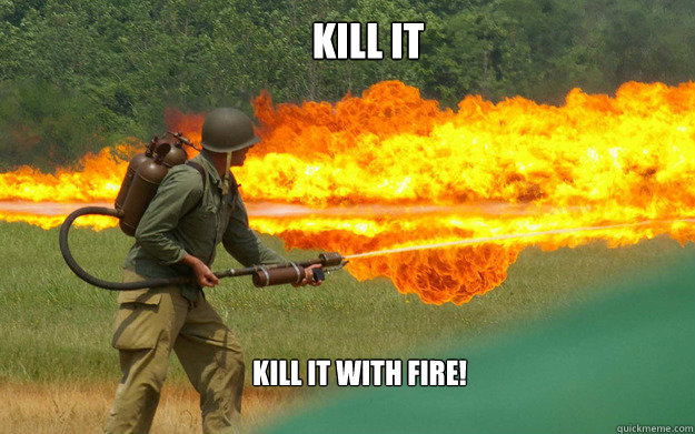Kill it Kill it with fire!  