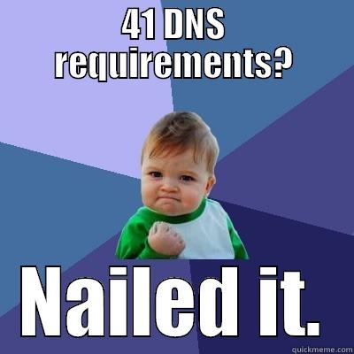 Need more process? - 41 DNS REQUIREMENTS? NAILED IT. Success Kid