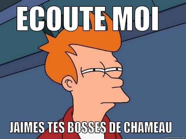 MAIS TU A VUE  - ECOUTE MOI  JAIMES TES BOSSES DE CHAMEAU  Futurama Fry